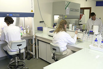 Laboratoire de microbiologie au centre R&D, INTERLAB